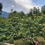 The Strawhouse Under The Mountain * Gorgogiri
