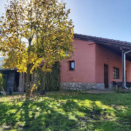 The Strawhouse Under The Mountain 펜션