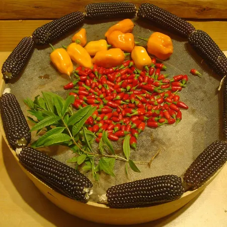 The Strawhouse Under The Mountain 펜션