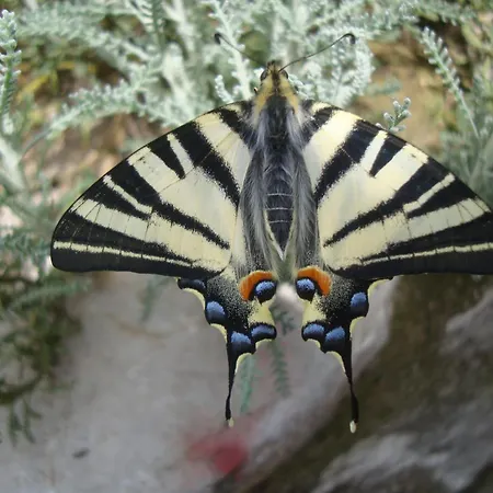 펜션 The Strawhouse Under The Mountain *