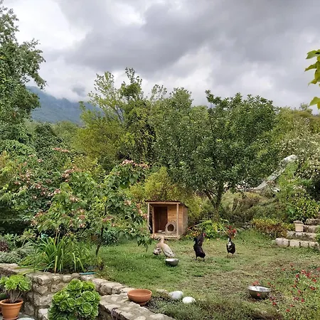 The Strawhouse Under The Mountain 펜션 Gorgogiri