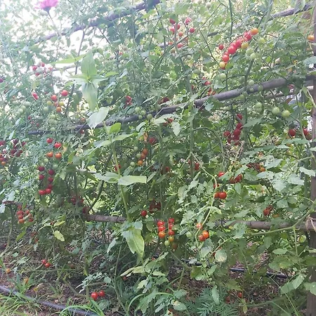 The Strawhouse Under The Mountain Gorgogiri