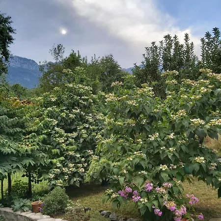 The Strawhouse Under The Mountain * Gorgogiri