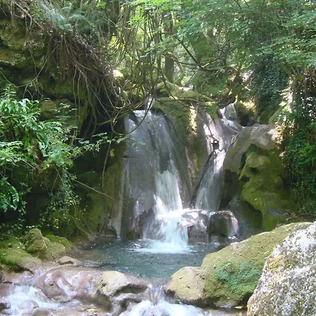 The Strawhouse Under The Mountain 펜션 *