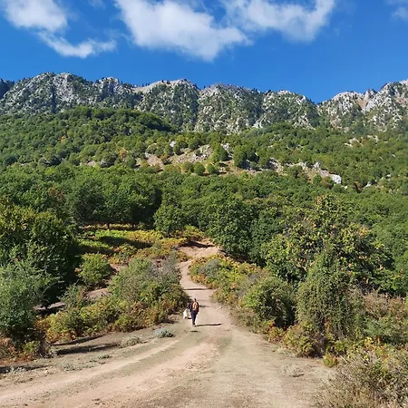The Strawhouse Under The Mountain *